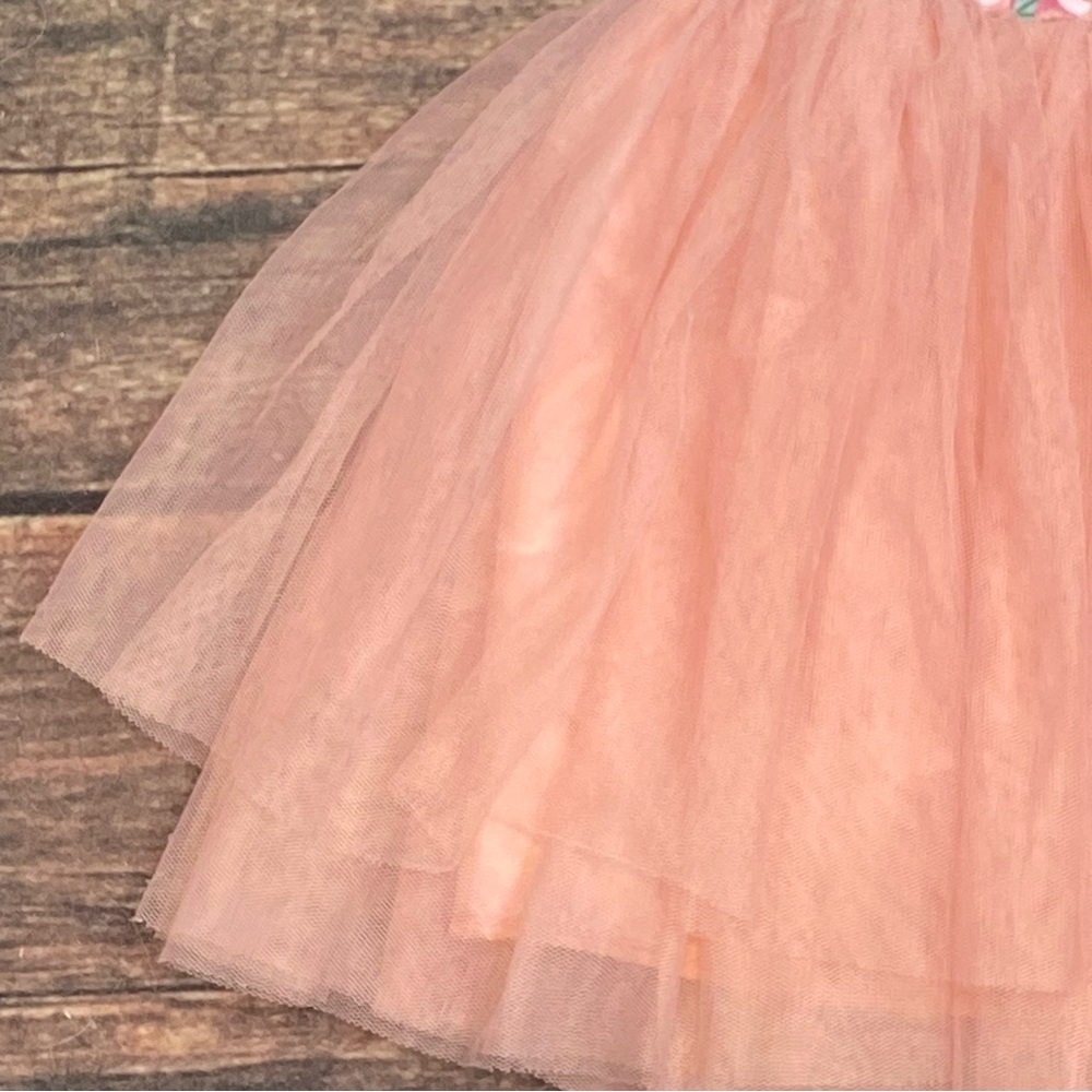 Blue Floral Embroidered Bunny Tulle Dress with Pink Skirt Size Girls Large - Picture 3 of 7